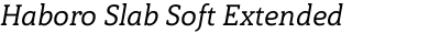 Haboro Slab Soft Extended Medium Italic